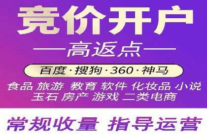 谷歌竞价广告的投放策略与成功案例分析